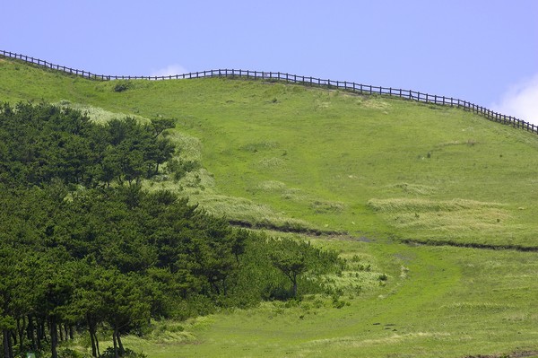 地旷野图片-风景图 草原 牧场 养殖 护栏 坡度,风