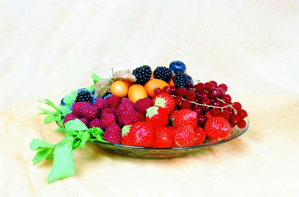 鲜味食物图片-农业图 果盘 草莓 桑葚,农业,鲜味